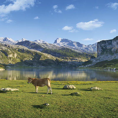 Picos de Europa